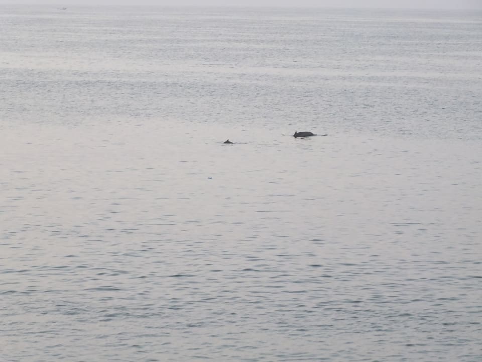 Strand Salalah Rotana Resort