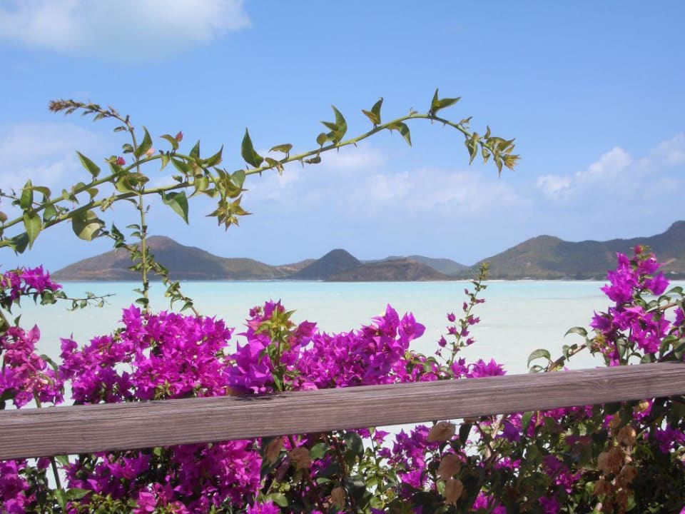 Vista dal ristorante Cocobay Resort Antigua - Adults only