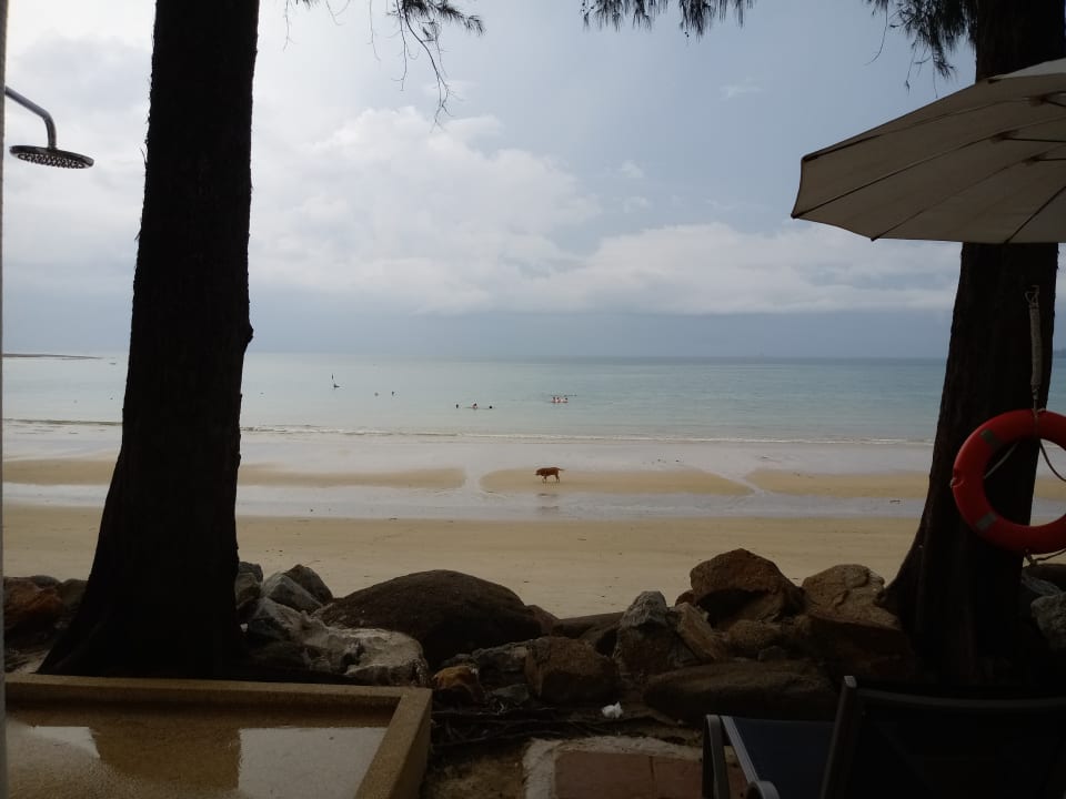 Strand Best Western Premier Bangtao Beach Resort & Spa