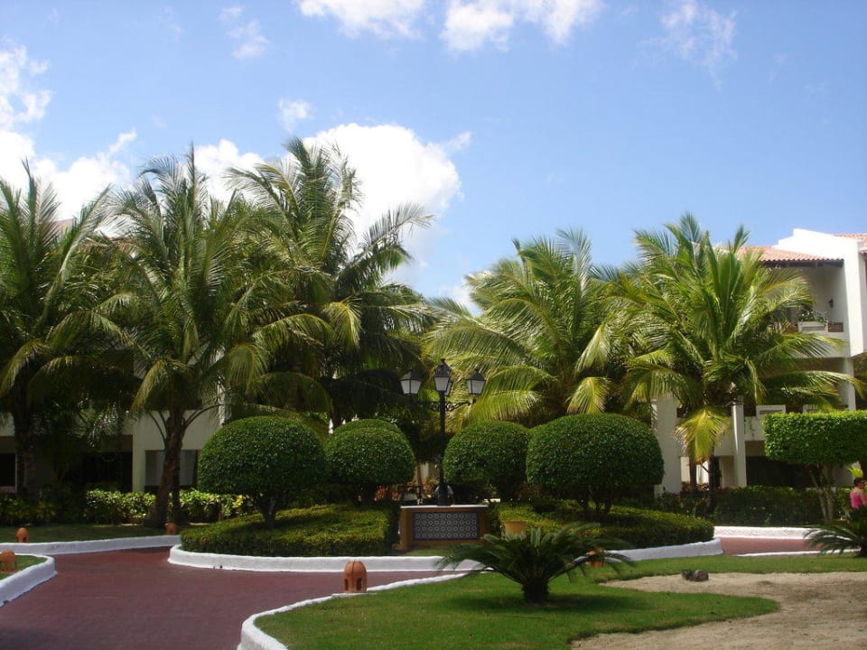 Wunderschöne Wege Occidental Punta Cana
