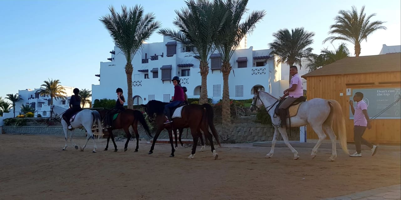 Außenansicht Hotel Mercure Hurghada