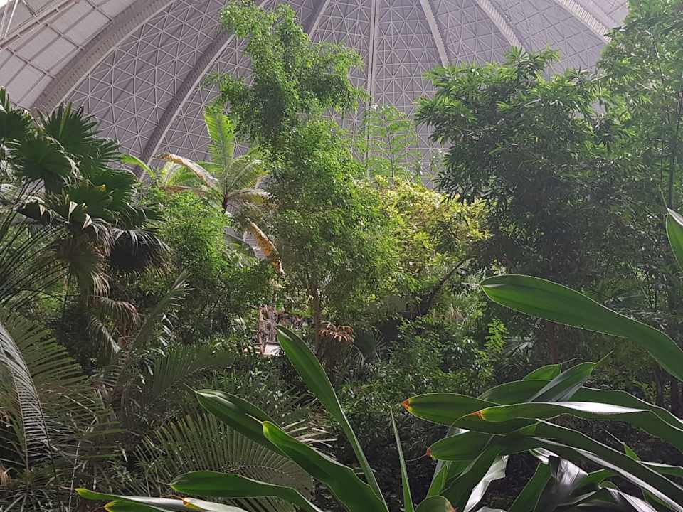 Sonstiges Tropical Islands Resort