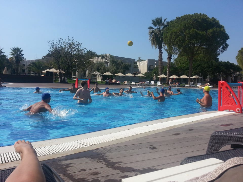Wasserball Asteria Venus Didim