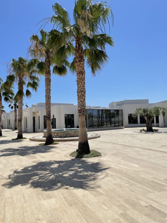 Gartenanlage Atlantica Plimmiri