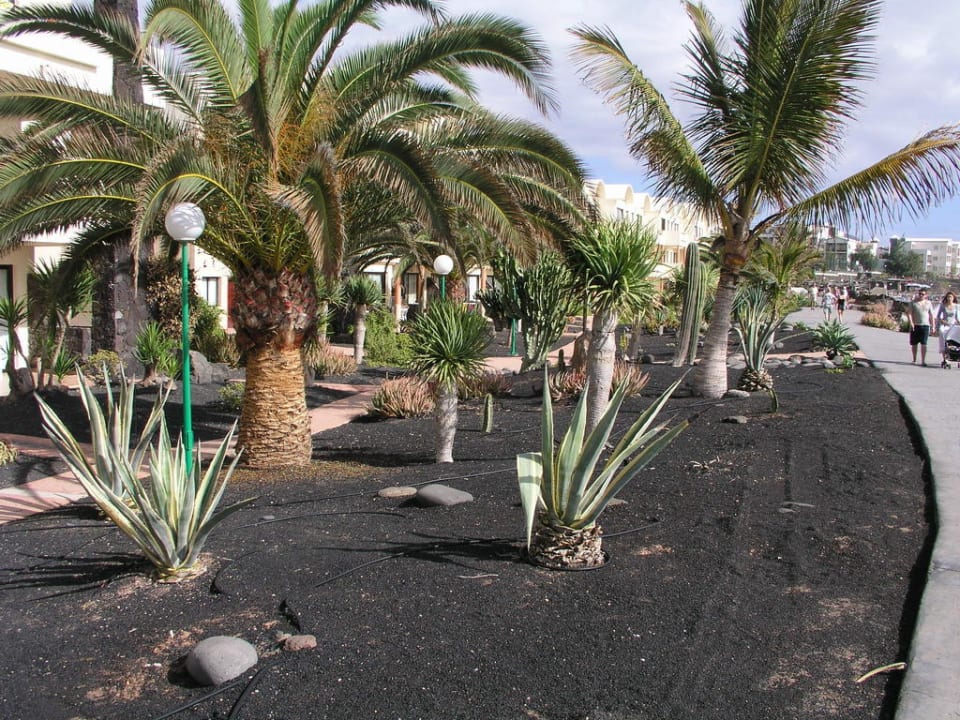 Hotelanlage SBH Hotel Royal Monica