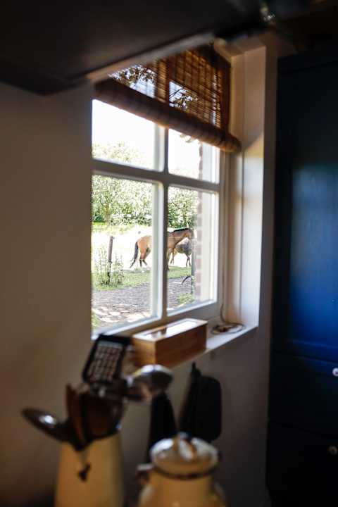 Zimmer B&B/ Vakantiehuizen De Slaaperij