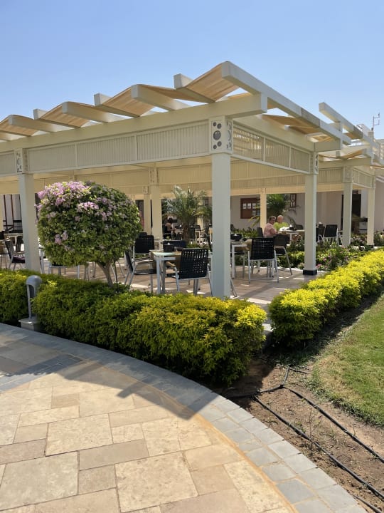 Gastro Pickalbatros Dana Beach Resort - Hurghada