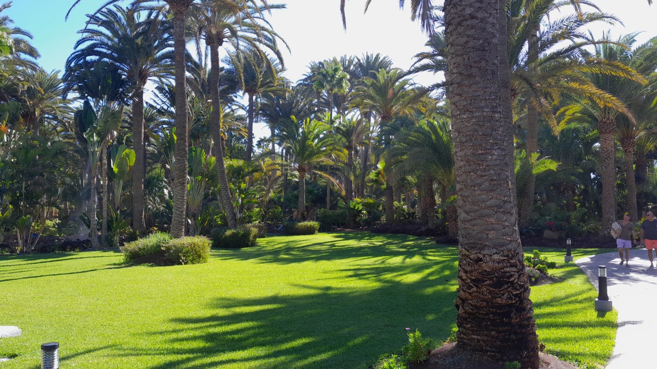 Lobby Hotel Riu Palace Oasis Meloneras • Holidaycheck Gran Canaria