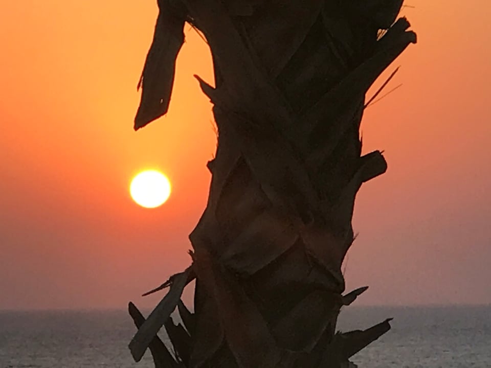 Ausblick Pickalbatros Citadel Resort