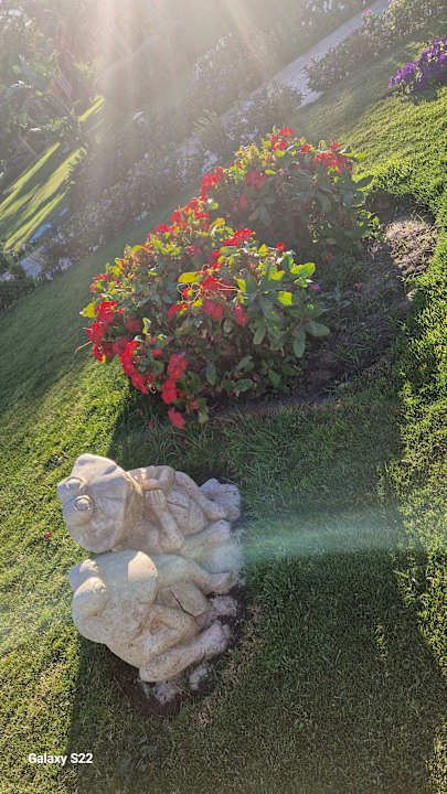 Gartenanlage Sentido Caribbean World Soma Bay
