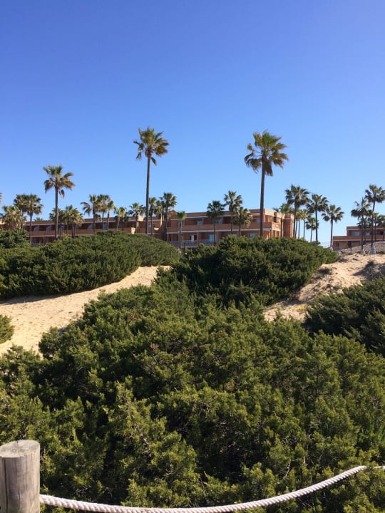 Blöick vom Strand auf das Hotel Hipotels Barrosa Park