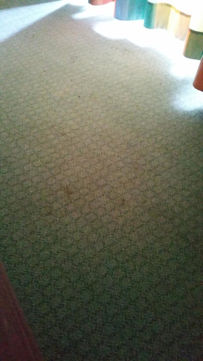 Dreckiger Teppich im Appartement  Center Parcs Park Nordseeküste
