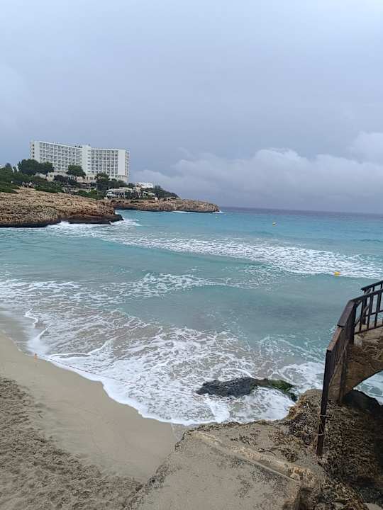 Strand Globales America