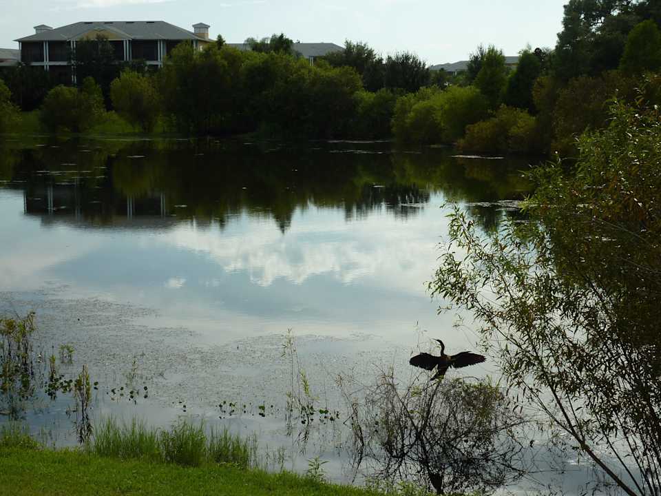 Parkanlage mit Teichen Hotel Bahama Bay Resort And Spa