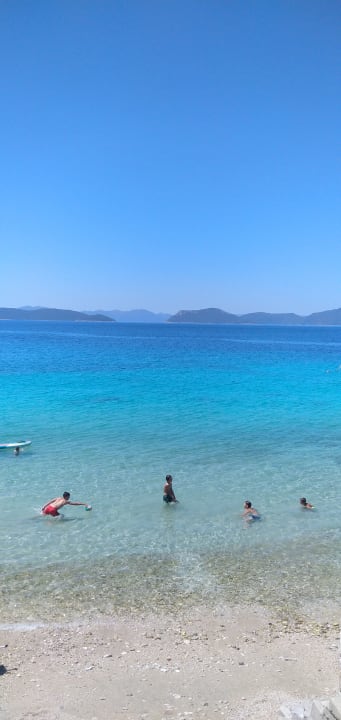 Strand Apartments by the sea Sladjenovici, Dubrovnik - 11531