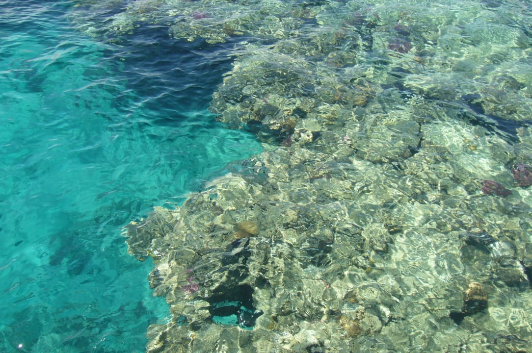 Aufgenommen vom Steg aus Fantazia Resort Marsa Alam