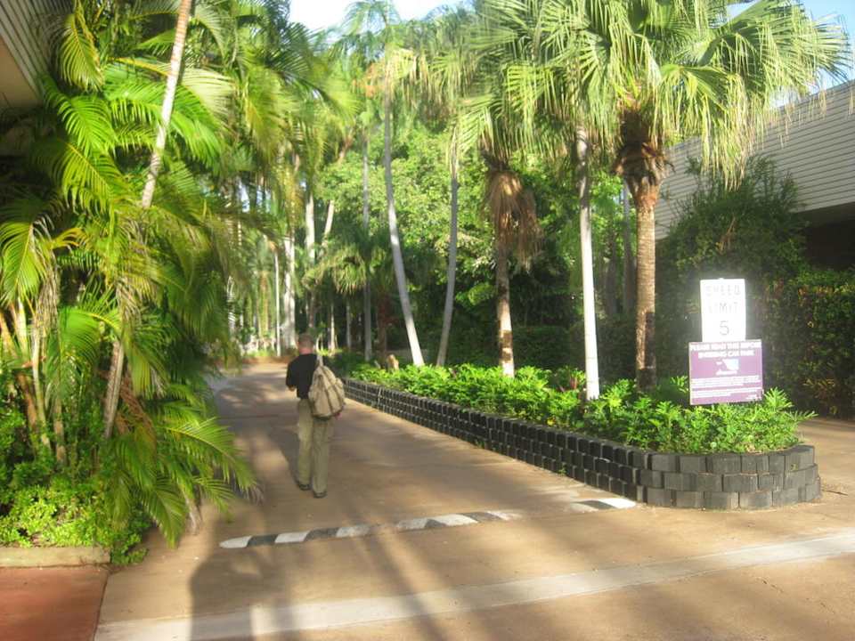 Nochmal alles Grün Hotel Ibis Styles Katherine