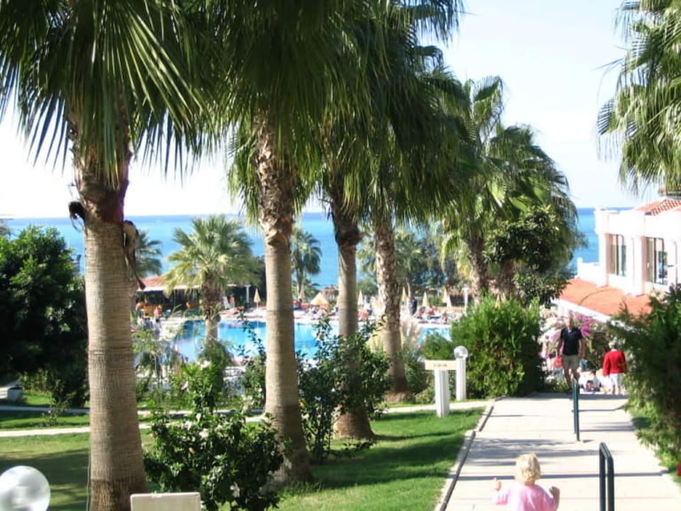 Hauptweg von oben Justiniano Club Alanya