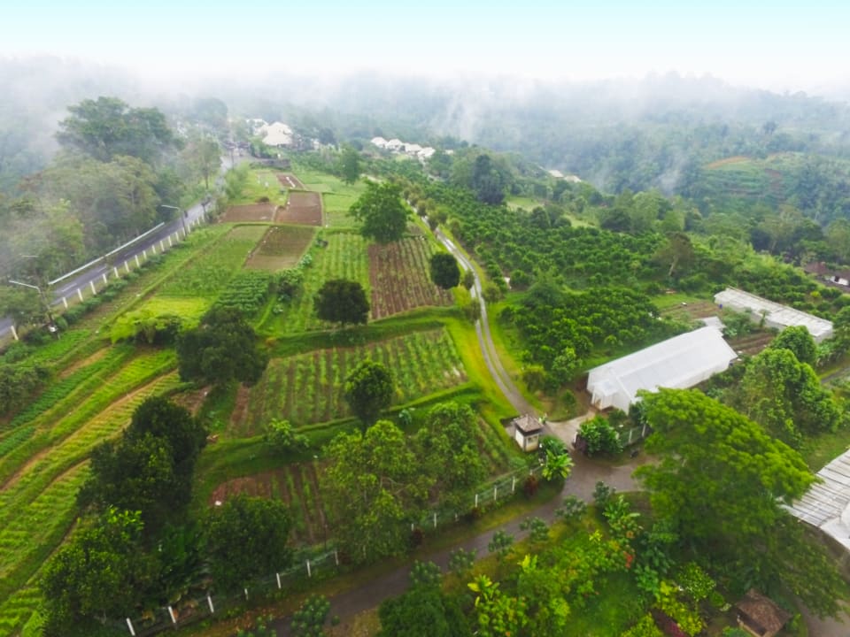 Ausblick Bagus Agro Pelaga