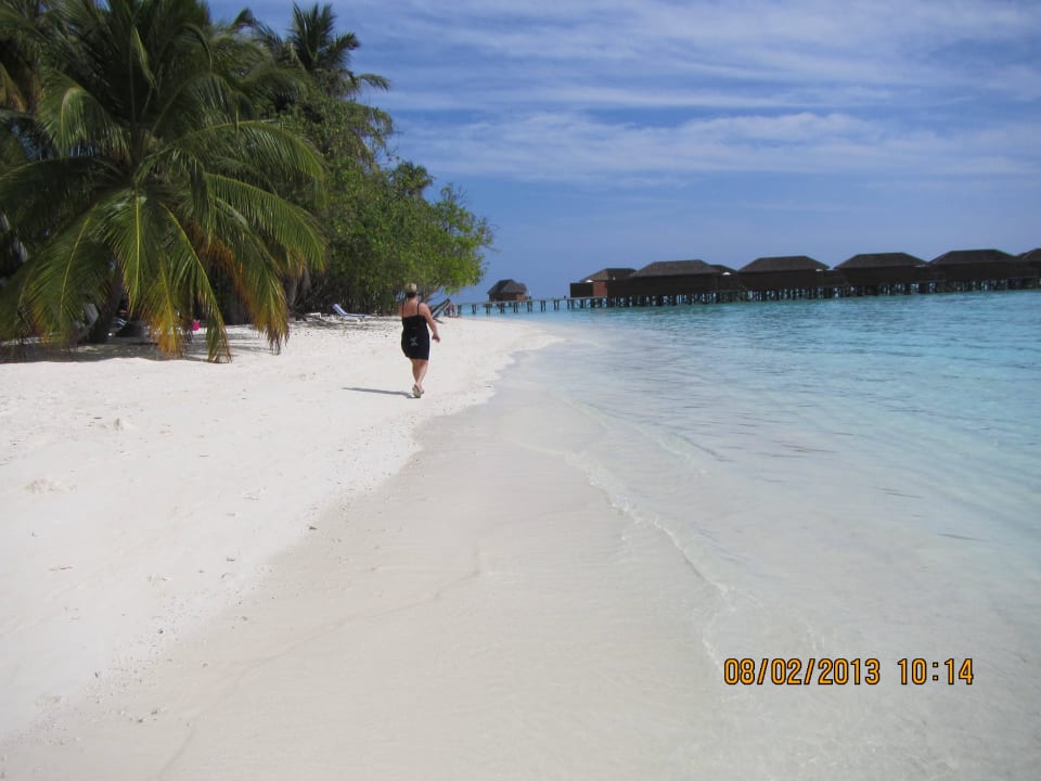 Strand Meeru Maldives Resort Island
