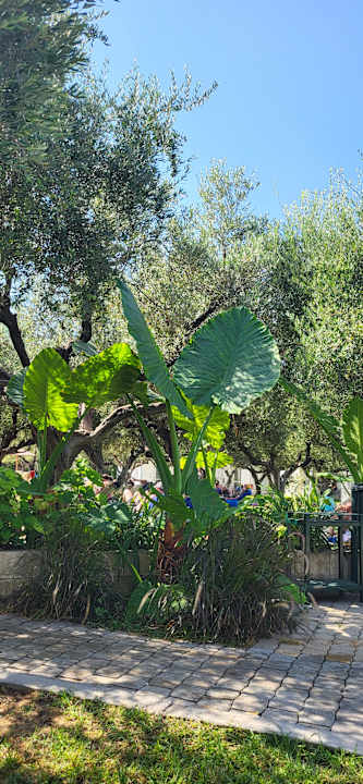 Gartenanlage TUI KIDS CLUB Alex Beach