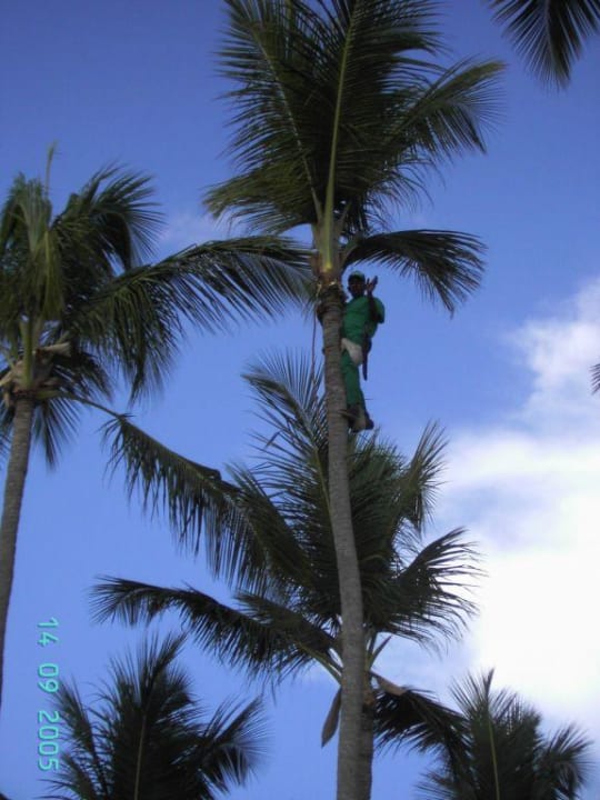 Garten Grand Palladium Select Bávaro Resort & Spa