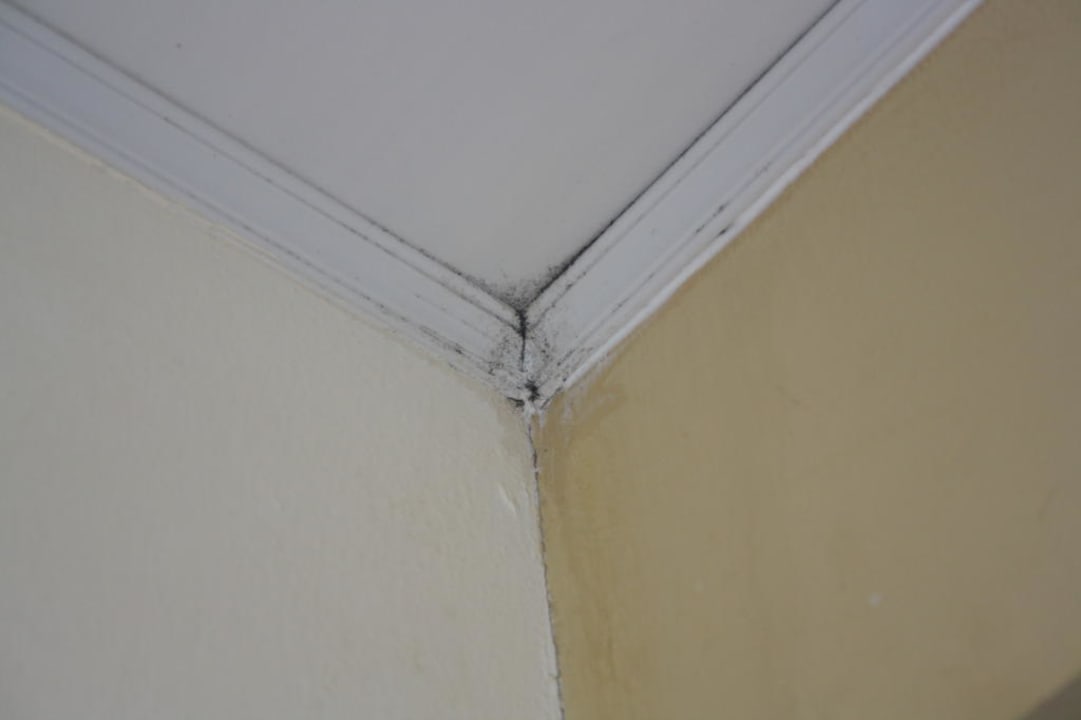 Decke TRS Turquesa Hotel - Adults only