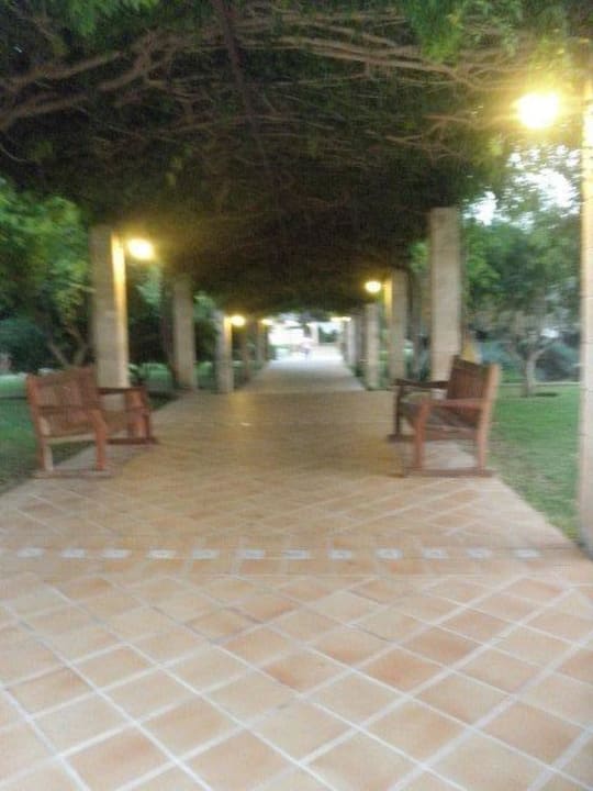 Schön Zafiro Mallorca