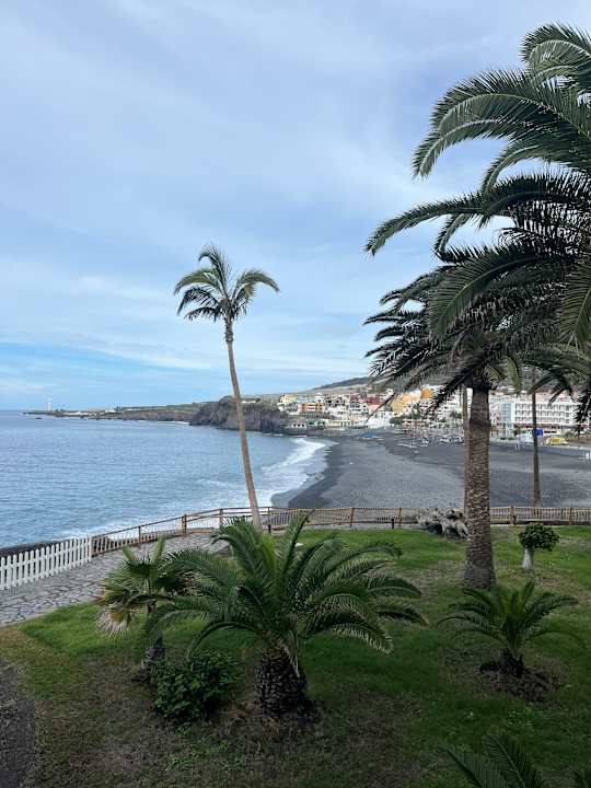 Zimmer Melia La Palma Hotel