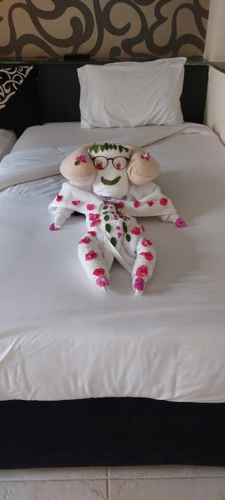 Zimmer Panorama Bungalows Resort El Gouna