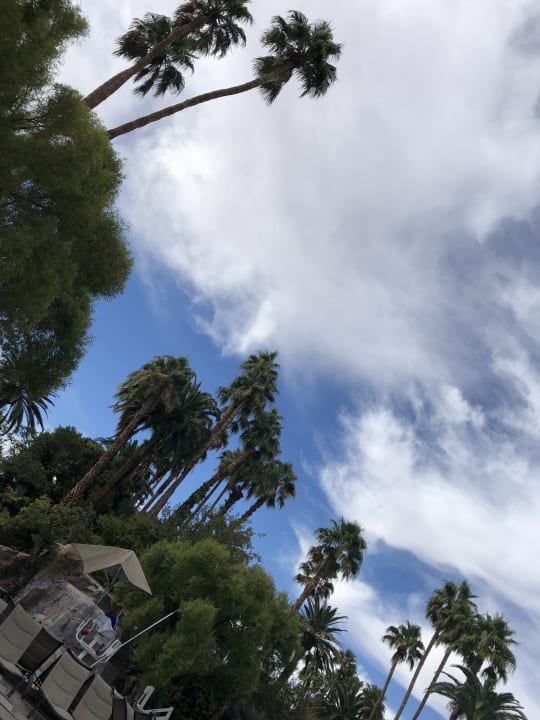 Sonstiges The Mirage