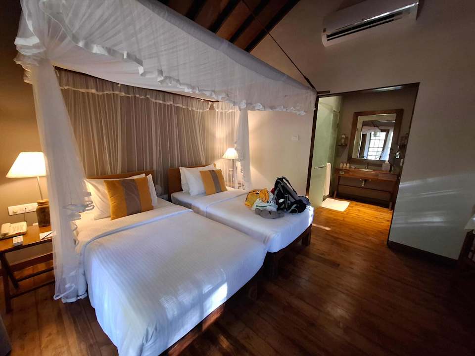 Zimmer Cinnamon Wild Yala