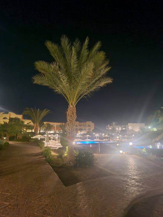 Gartenanlage Three Corners Equinox Beach Resort