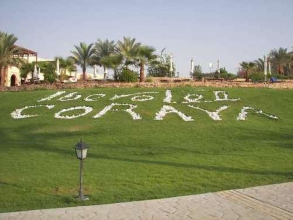 Garten III Steigenberger Coraya Beach - Adults only