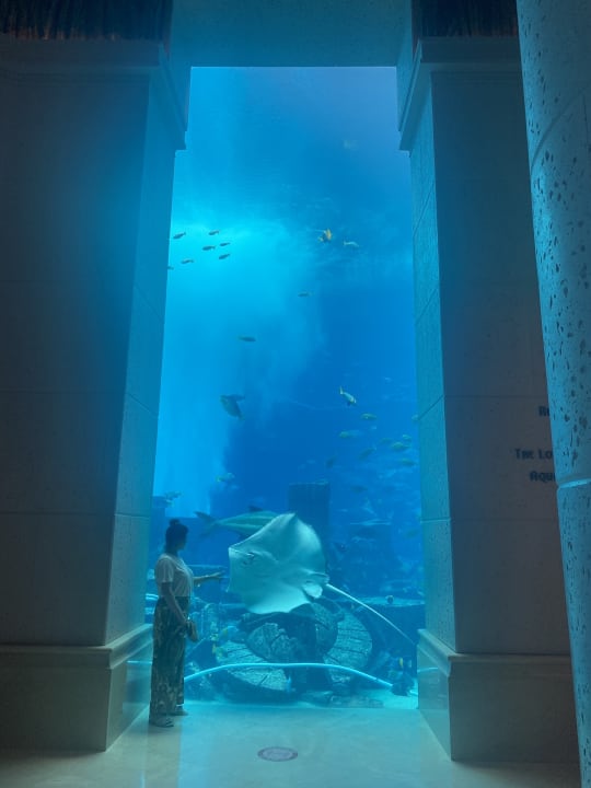 Sport & Freizeit Atlantis, The Palm