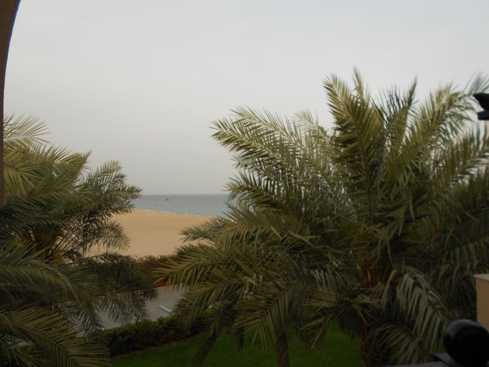 Blick aus dem Zimmer Miramar Al Aqah Beach Resort