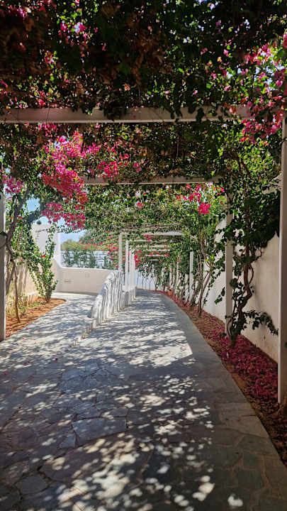 Gartenanlage Knossos Beach Bungalows Suites Resort & Spa