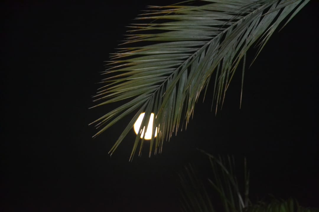 Ausblick Hane Family Resort