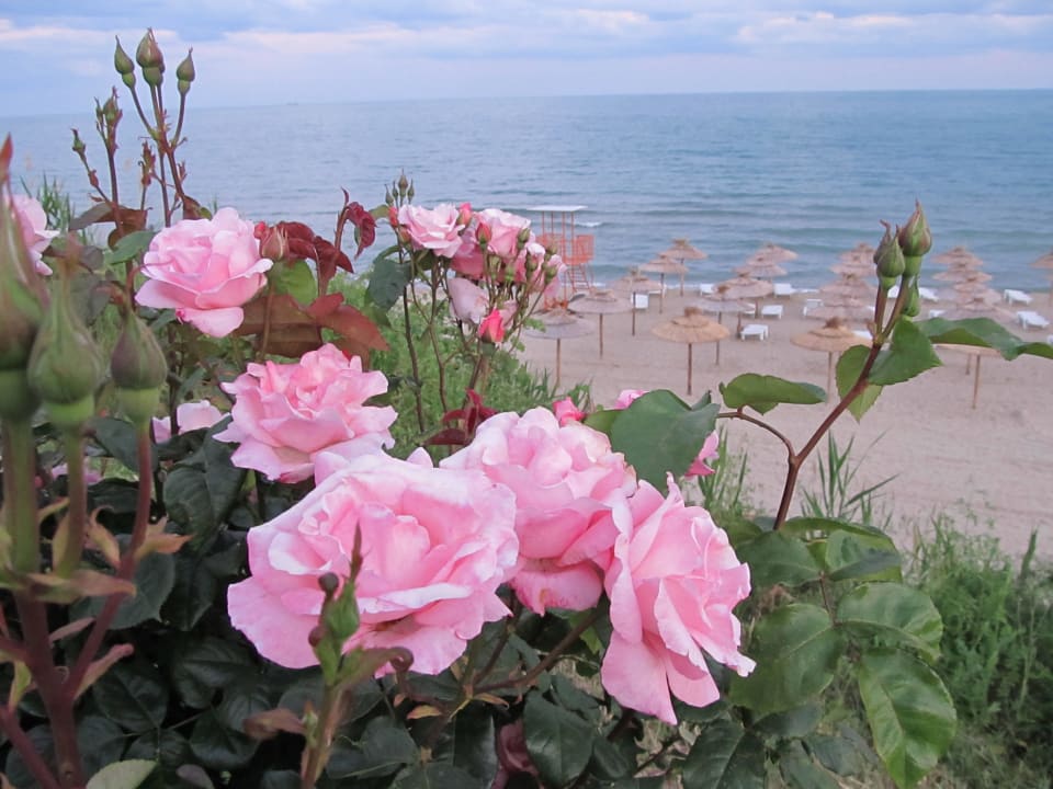 Hotel-Strand (im Hintergrund) Hotel Sineva Beach