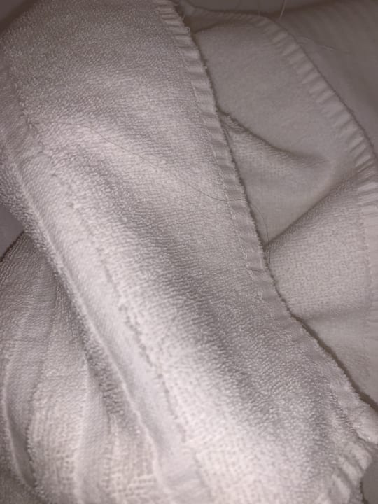 Zimmer Hotel Spreewitz am Kurfürstendamm