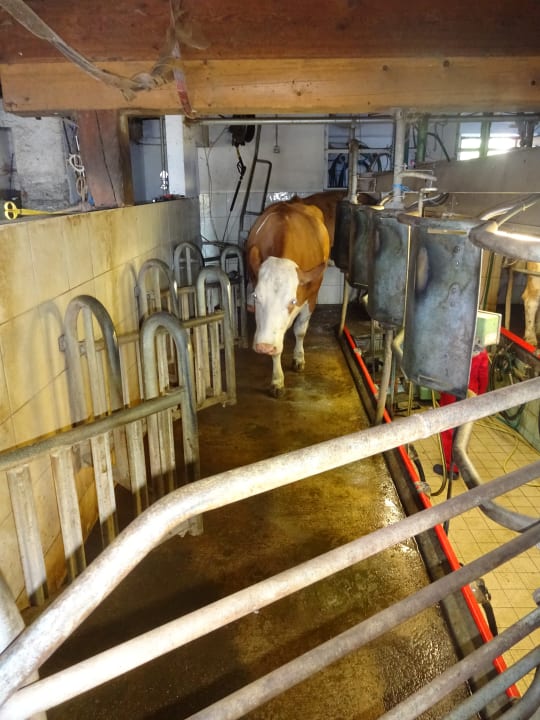 Sport & Freizeit Ferienwohnungen Toffhof