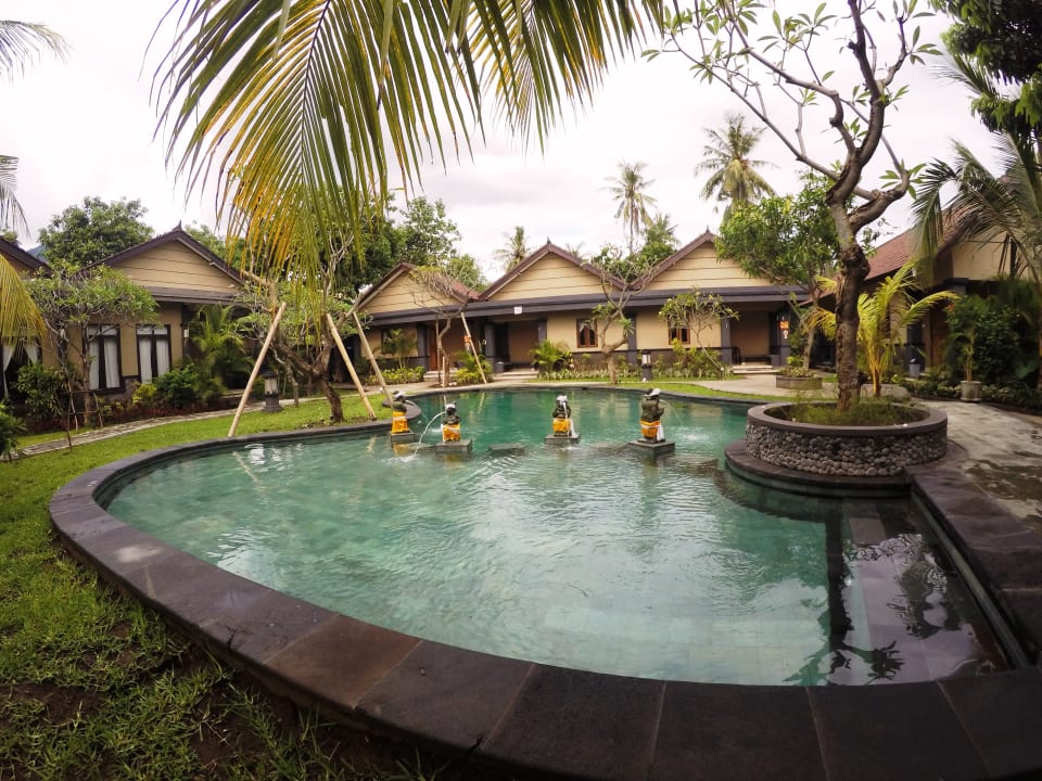 Pool Doubleyou Homestay Pemuteran