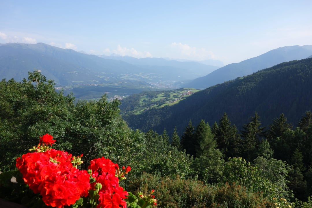 Ausblick Zimmer 102 Parkhotel Holzerhof