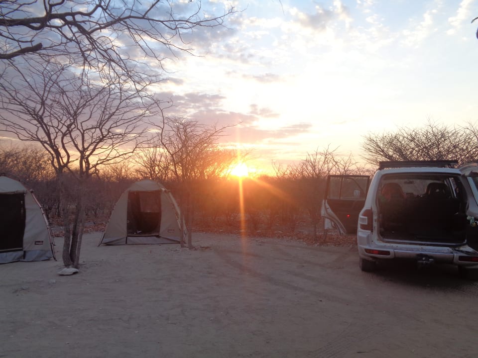 Zimmer Mopane Village Etosha