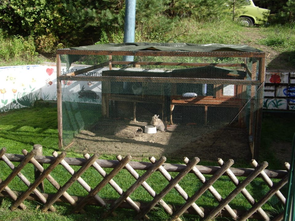 Hasenstall Familotel Borchard's Rookhus am See