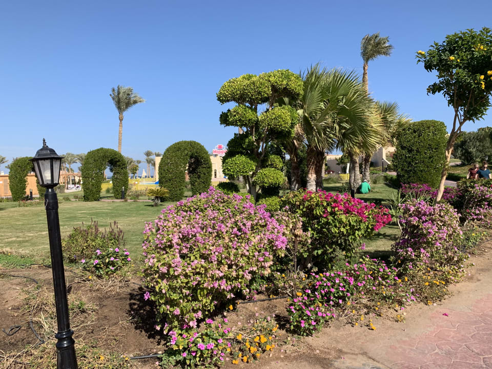 Gartenanlage Cleopatra Luxury Resort Makadi Bay
