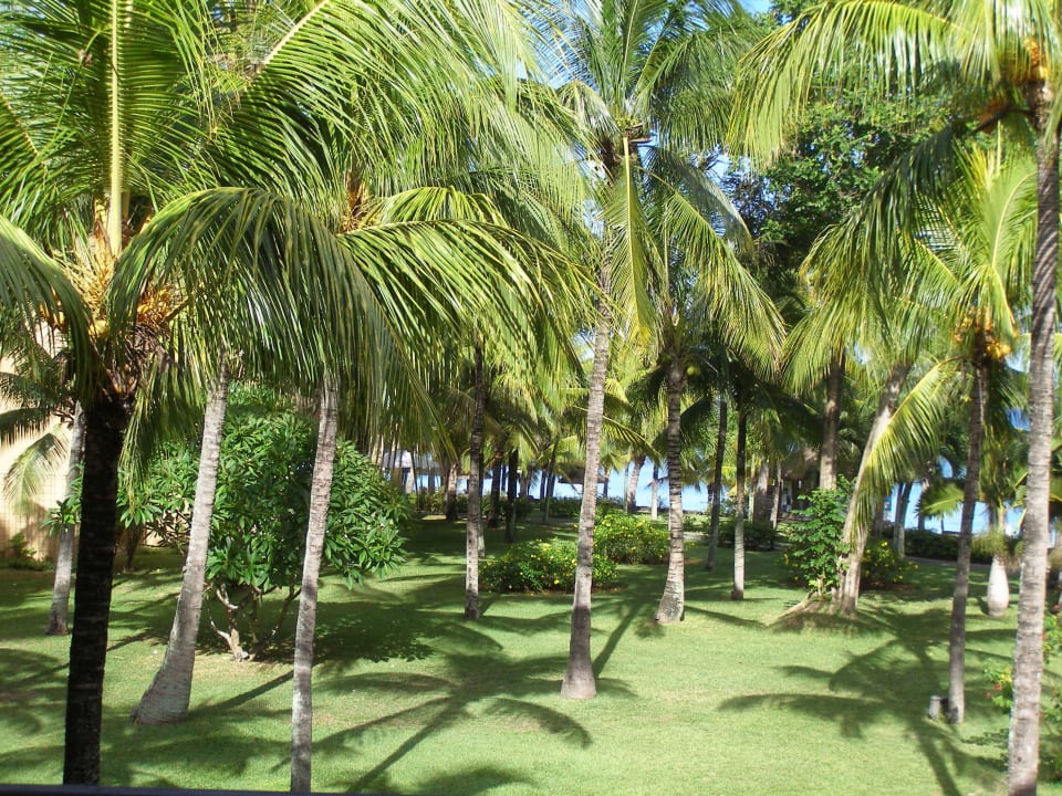 Ausblick vom Zimmer Victoria Beachcomber Resort & Spa