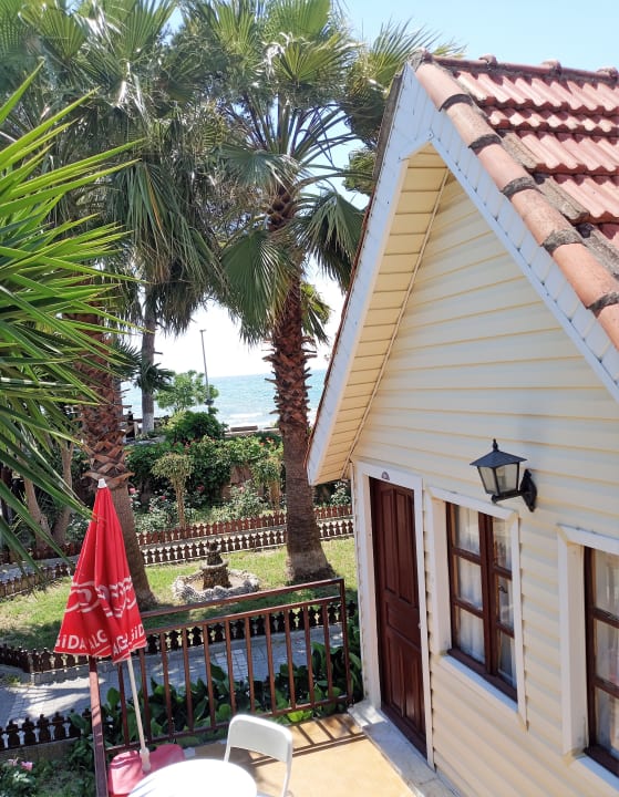 Zimmer Clover Magic Nova Beach