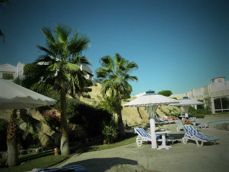 Basen Hotel Noria Resort