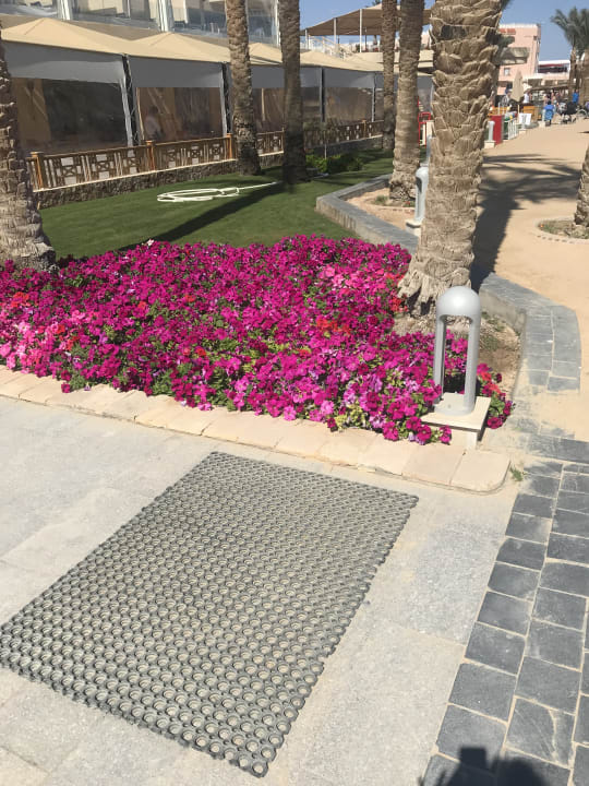 Garten Beach Albatros Resort